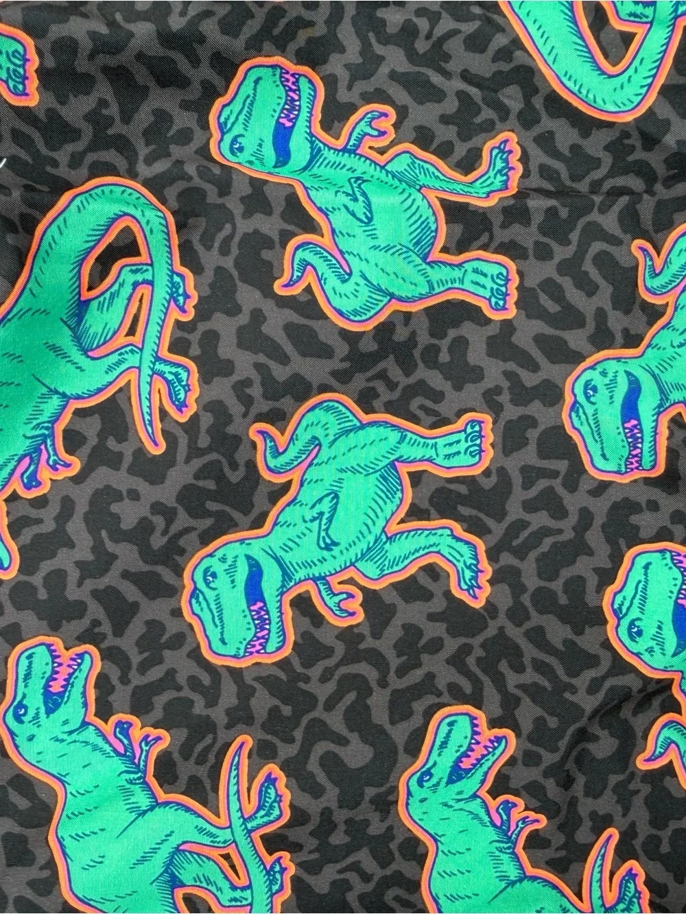 Men's Black Cheetah with Dinosaur Swim Trunks with built in liner